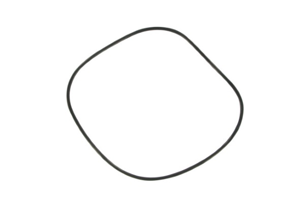 DS172019 (Cometic Derby Cover O-Ring)