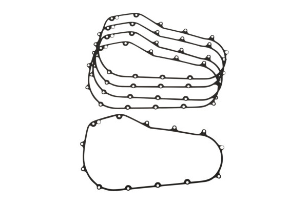 0934-6321 (Cometic Primary Gasket)