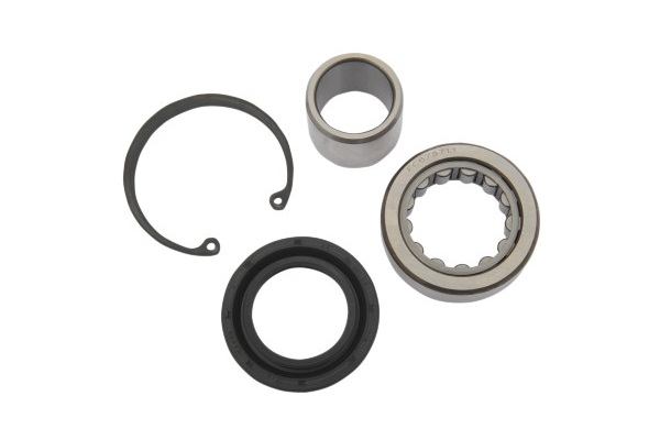 1120-0281 (Drag Specialties Inner Primary Bearing Kit)