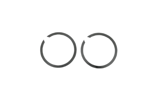 DS203109 (Eastern Parts Exhaust Retaining Ring)