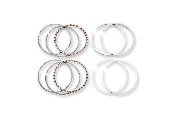 DS750640 (Hastings Piston Rings)