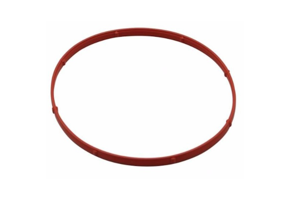17369-06 (HD Derby Cover Gasket)