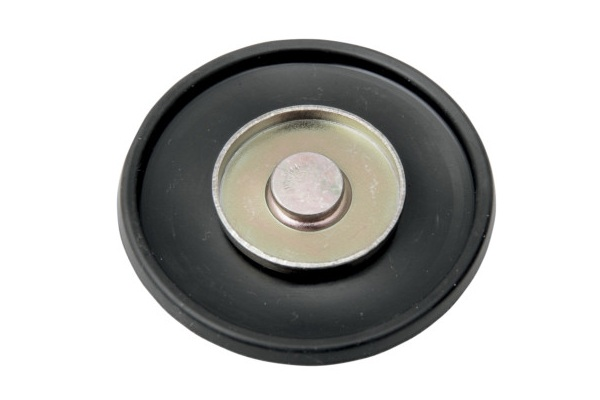 DS174445 (James Accelerator Pump Diaphragm)