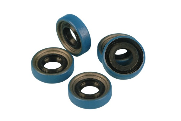 DS173423 (James Double Lip Shifter Shaft Seal)