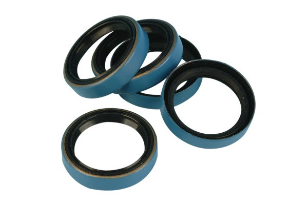 DS173536 (James Gasket Main Drive Gear Oil Seal)
