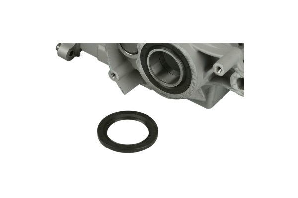 0935-0123 (James Main Drive Gear Seal)