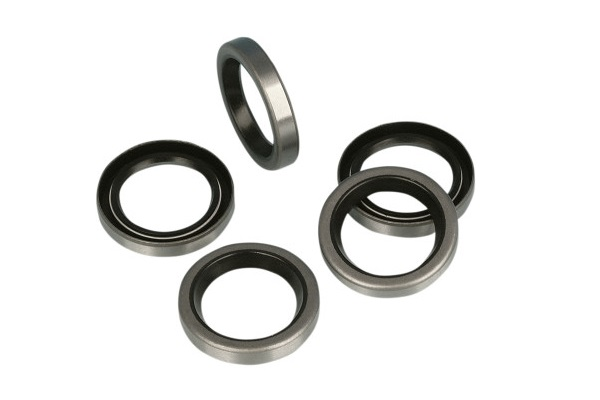 DS194464 (James Single Lip Point Seal)
